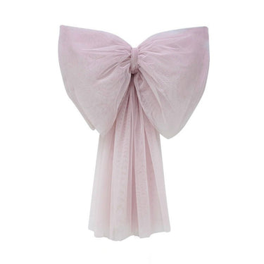 Big Bow Accent - Pale Rose - Flower Girl Dress - Aylu Bebe