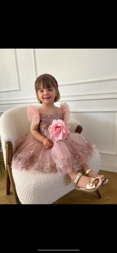 Olirenza Dress - Flower Girl Dress - Aylu Bebe