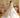 The Seraphina handmade Gown