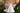 Amoura Gown - AB3938 - Flower Girl Dress- Aylu Bebe