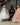Blush Rosabella Gown - AB3819 Made To Order - Flower Girl Dress - Aylu Bebe