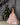 Blush Rosabella Gown - AB3819 Made To Order - Flower Girl Dress - Aylu Bebe