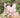 Chiara Tutu Dress - Spinkie - Flower Girl Dress - Aylu Bebe