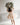 Christmas Rose - Flower Girl Dress - Aylu Bebe