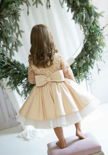 Christmas Rose - Flower Girl Dress - Aylu Bebe