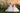 Elowelle Gown - AB3917 - Flower Girl Dress- Aylu Bebe