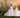 Elowelle Gown - AB3917 - Flower Girl Dress- Aylu Bebe