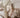 Enchanted Dress - Flower Girl Dress - Aylu Bebe