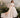 Evelisse Gown - AB3916 - Flower Girl Dress- Aylu Bebe
