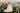 Evelisse Gown - AB3916 - Flower Girl Dress- Aylu Bebe