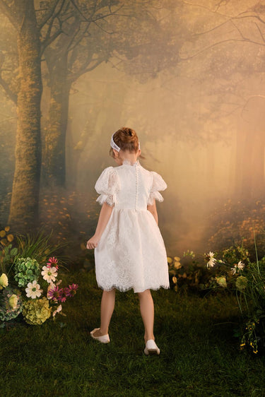Lunavelle Dress - AB3939 - Flower Girl Dress- Aylu Bebe