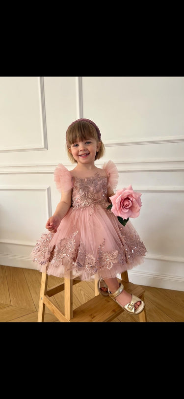 Olirenza Dress - Flower Girl Dress - Aylu Bebe