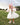 Paris Dress (Handmade) - White - Flower Girl Dress - Aylu Bebe