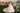 Solenne Gown - AB3914 - Flower Girl Dress- Aylu Bebe