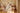 The Seraphina handmade Gown AB3808 - Made to Order - Flower Girl Dress - Aylu Bebe