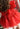 The Sugar Plum Ruby Dress - Flower Girl Dress - Aylu Bebe