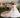 Valérielle Lace Gown - AB3909 - Flower Girl Dress- Aylu Bebe