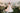 Vittoria Royale - AB3903 - Flower Girl Dress- Aylu Bebe