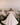Vittoria Royale - AB3903 - Flower Girl Dress- Aylu Bebe