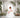 Zeze by Mimi Miya couture - Flower Girl Dress - Aylu Bebe